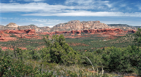 View from Long Canyon Trail Sedona